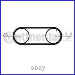 Continental CTAM CT704WP2PRO water pump + timing belt set for Audi Volvo VW