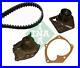 Original-INA-water-pump-timing-belt-set-530-0442-30-for-Nissan-Renault-Suzuki-01-wh